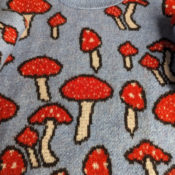 Zara mushroom sweater - blue crew neck women's size medium - Picture 6 of 6